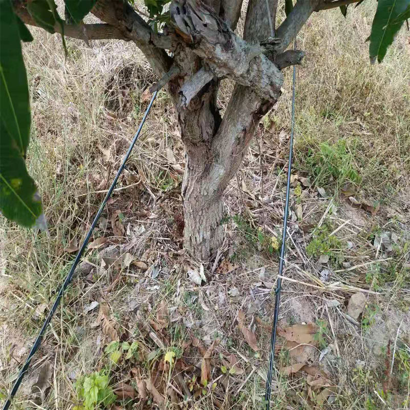 海南果園灌溉工程